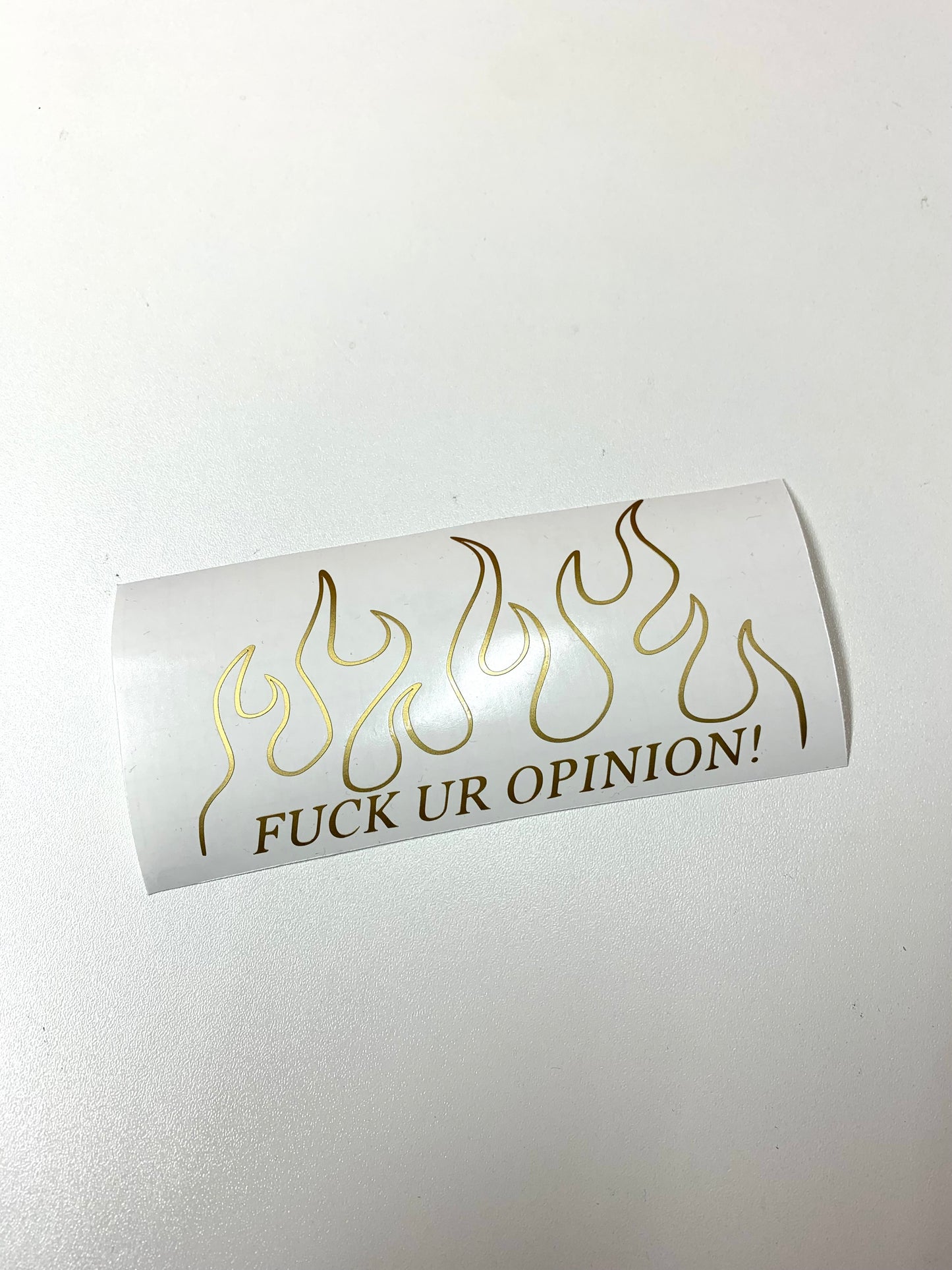 Fuck Ur Opinion Mirror Flames